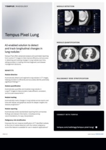 Tempus Pixel Lung